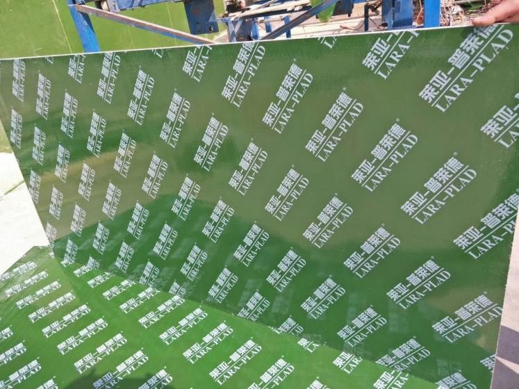 What is PP Film for Construction Plywood?