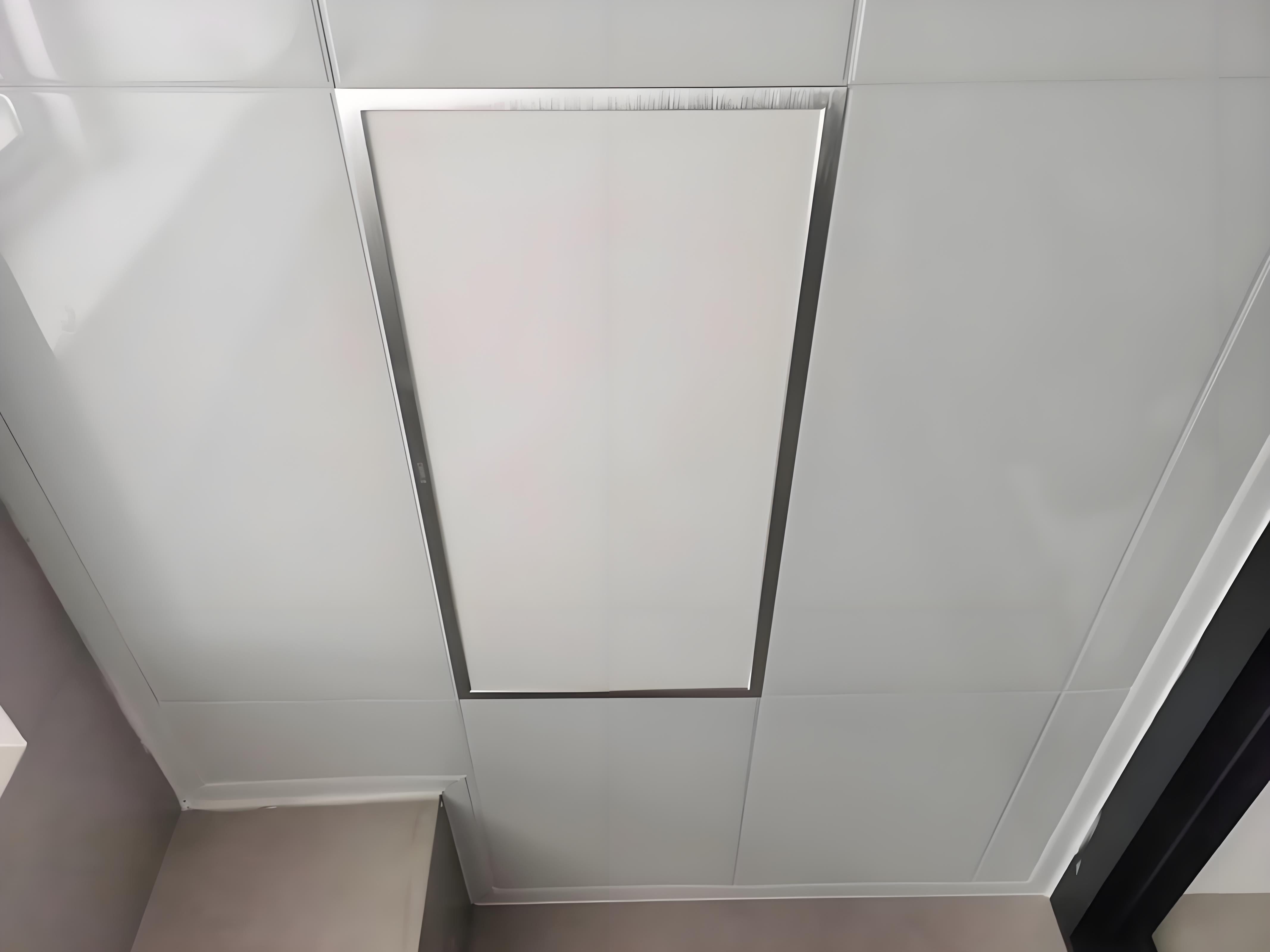 Aluminum Alloy Ceiling